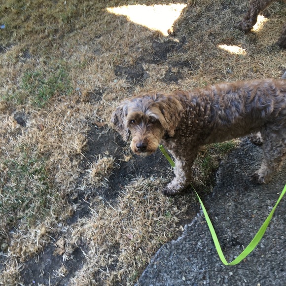 Meet your Posher, Michelle - Picture 1 of 1